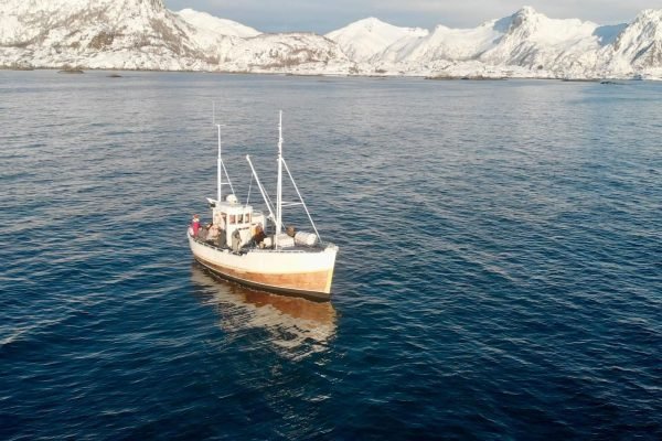 fishing tour