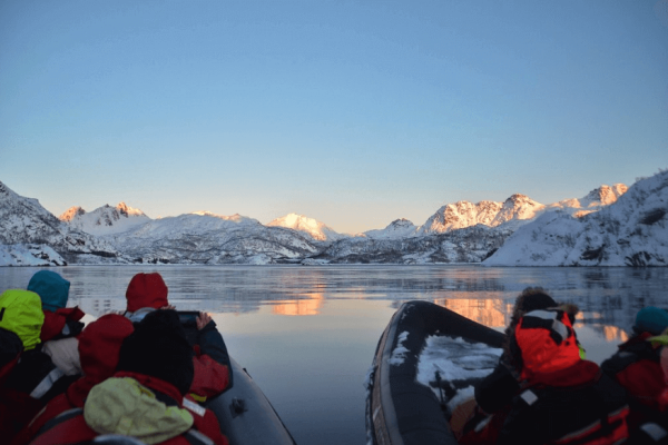 havørn safari trollfjord